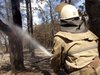 Пожежники гасять ліс