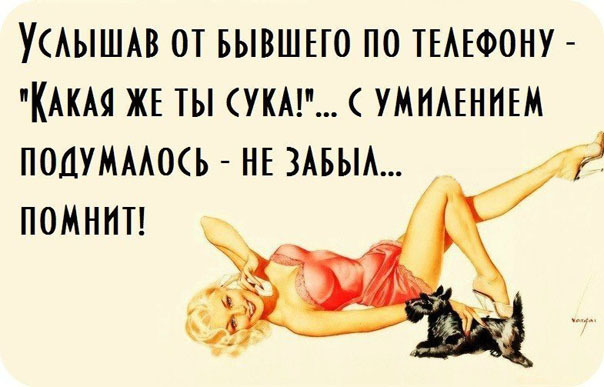 Картинки про женщин