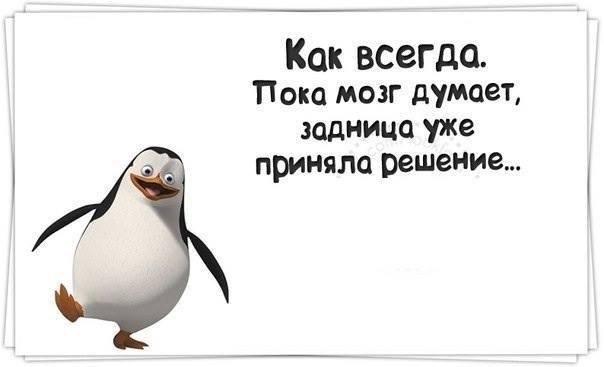 Смешные картинки с текстом