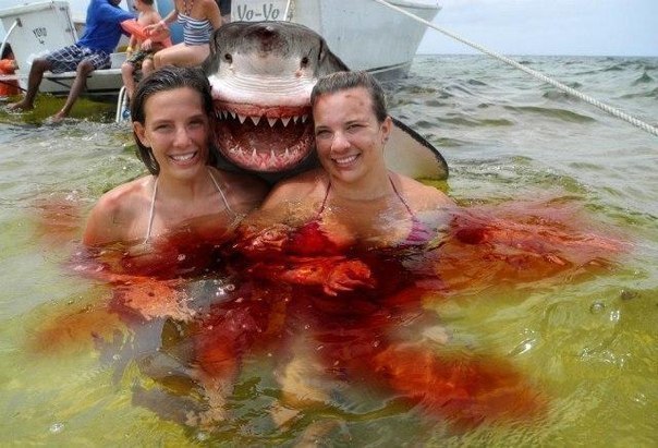 Хоррорское фото с девушками. Акула в шоке