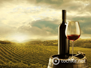 Як приготувати вино самостійно