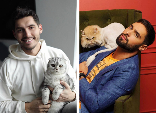 Коты украинских звезд — фотоотчет