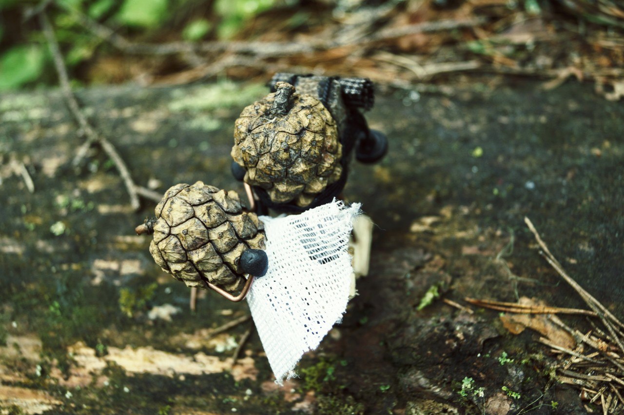 #ПутешествиеСосновойШишки часть 6