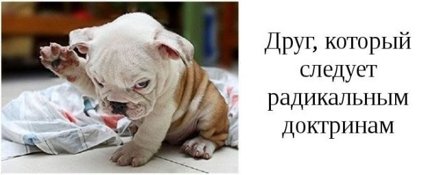 Категории друзей