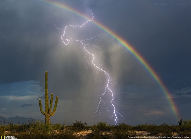 National Geographic опубликовал снимки природы для конкурса The Nature Photographer of The Year