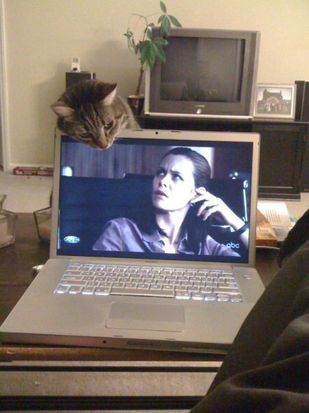 Приколы про девушек и животных