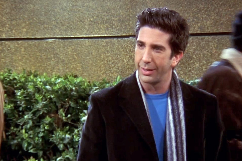 Друзья: Дэвид Швиммер