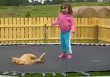 Кошак кайфует