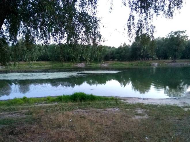 Майские шашлыки