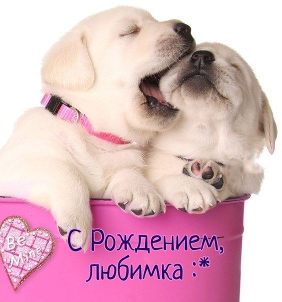 С днем рождения, любимка