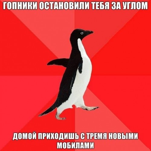 Агрессивно - социальный пингвин