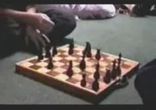 шахматист