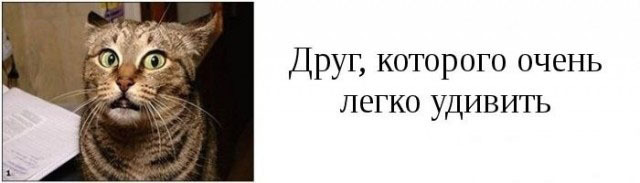 Категории друзей