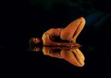 Beyonce - Partition