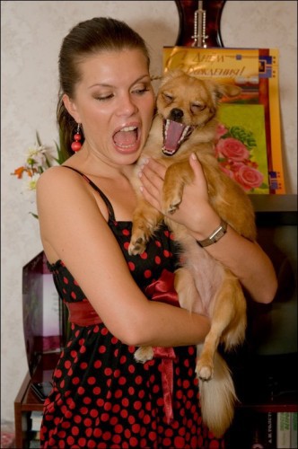Смешные приколы про девушек и собак