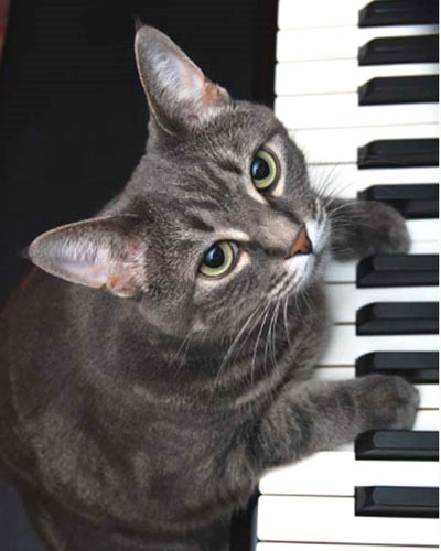 Пианистка Нора