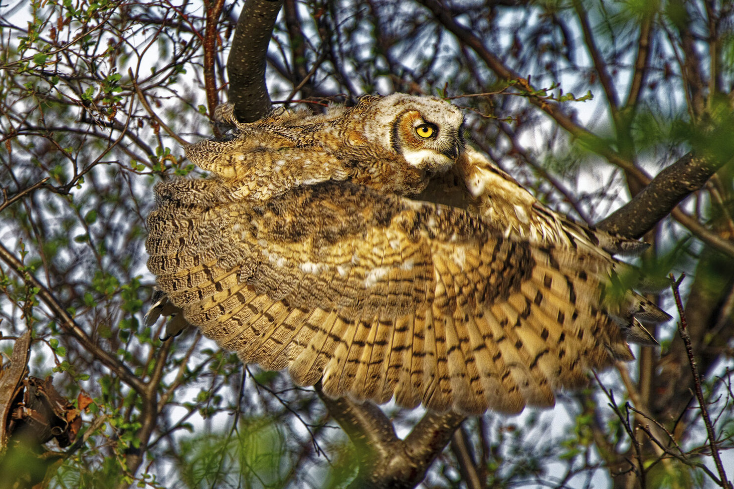 World Nature Photography Awards 2020