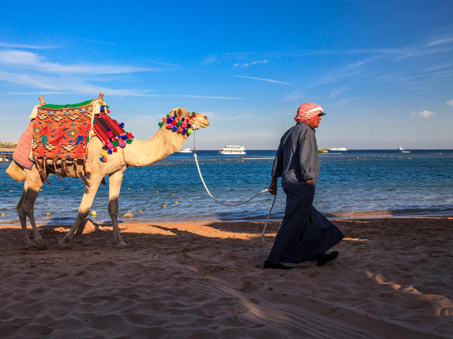 Єгипет, готель Jaz Makadina