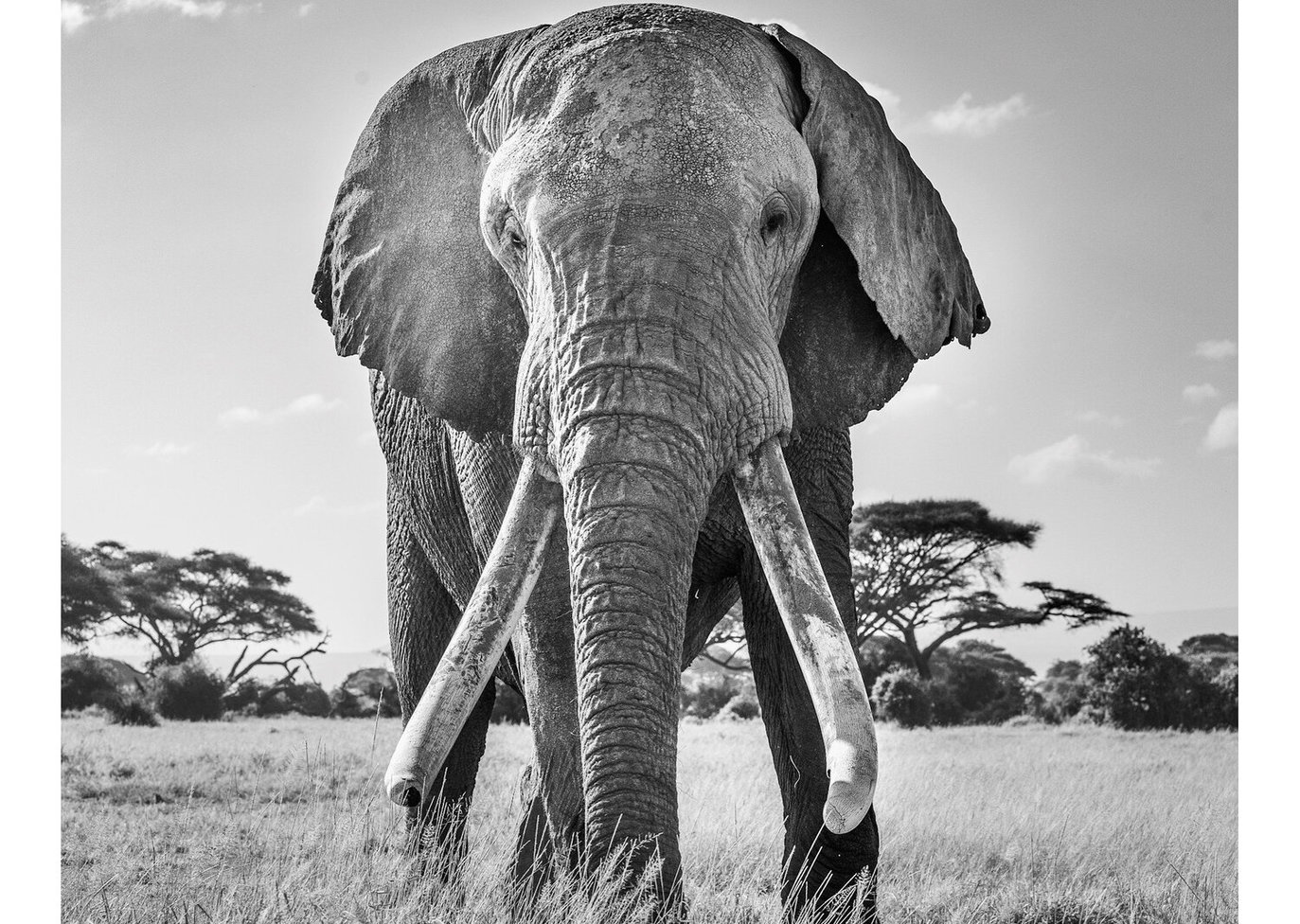 World Nature Photography Awards 2020