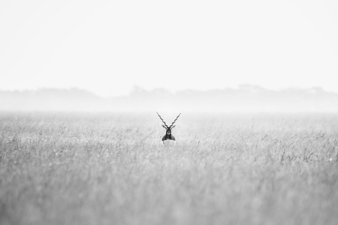 NATIONAL GEOGRAPHIC TRAVEL PHOTOGRAPHER