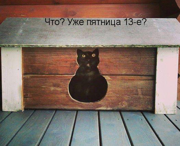 ТОП лучших котоматриц про пятницу 13-е