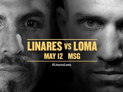 Василий Ломаченко сразится за пояс WBA