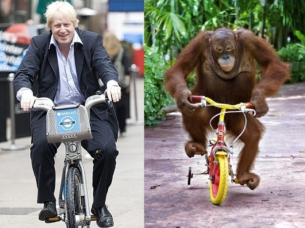 Олимпийские карикатуры