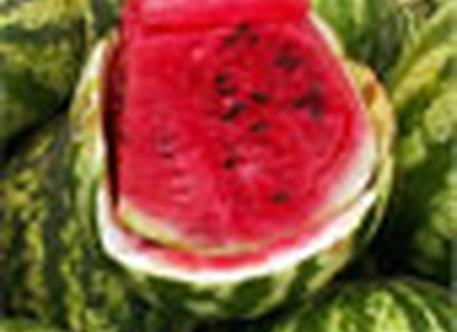 Ранний арбуз может быть "химическим" !