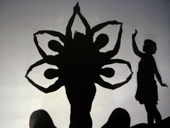 Pilobolus 
