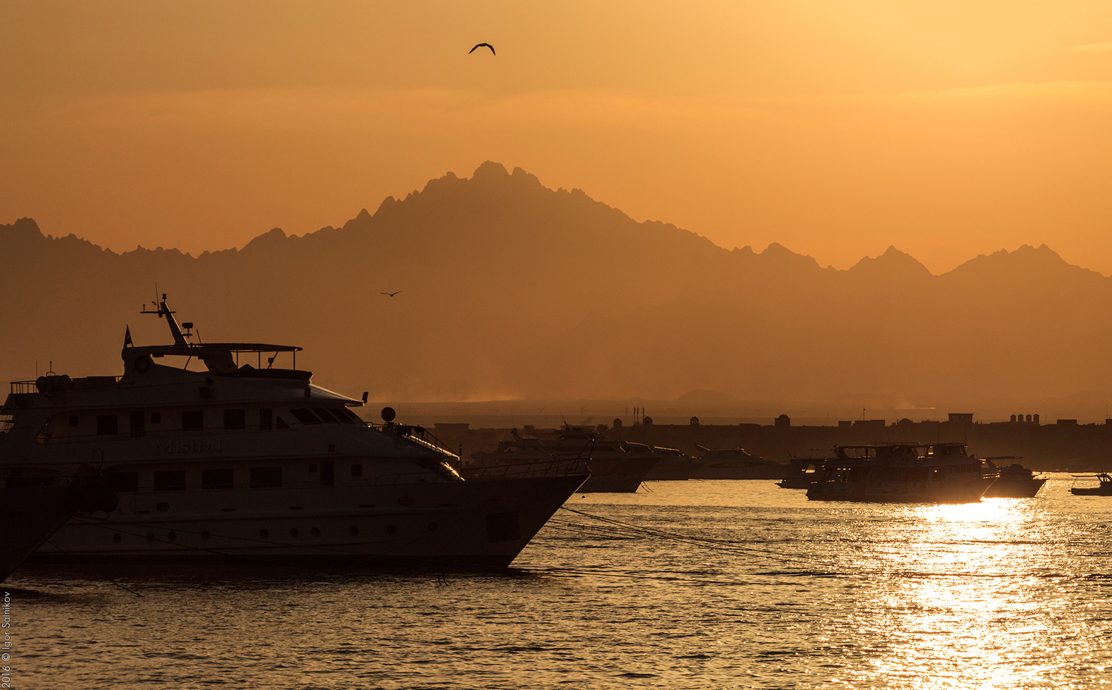 Египет, заповедник Махмея