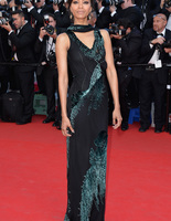 Каннский кинофестиваль 2014: звезды на фестивальных премьерах