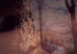Jamie Woon - Shoulda (Samy Chelly Remix)