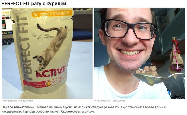 Виктор Степанов пробует на вкус 10 кошачьих кормов