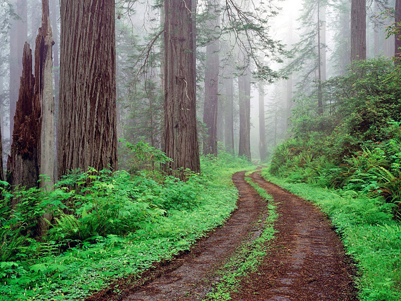 Кинотуризм: Звездные войны