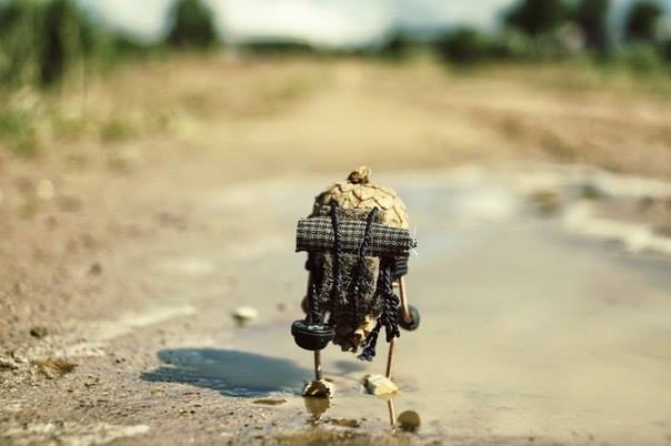 #ПутешествиеСосновойШишки часть 4