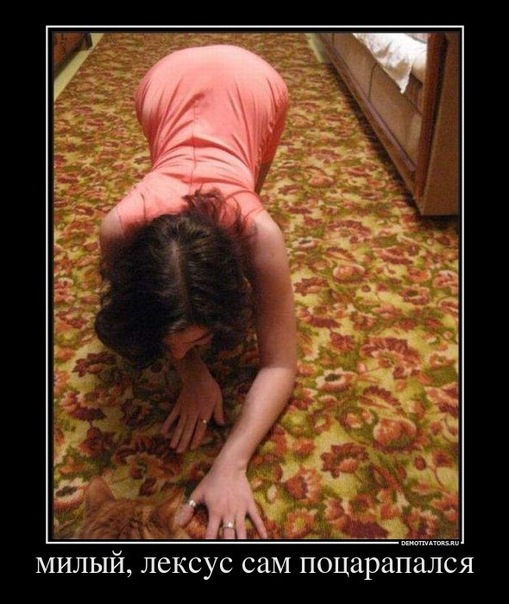 Прикольные демотиваторы про девушек