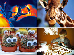 Куди піти з дітьми