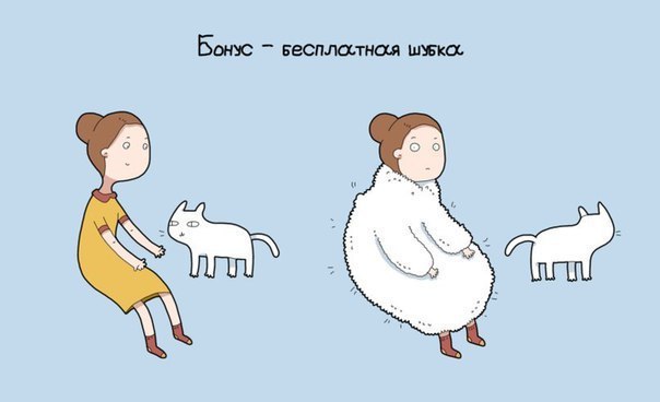 9 причин иметь кота