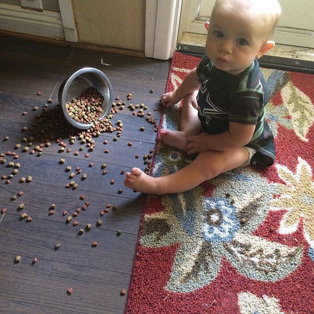 Пять минут тишины