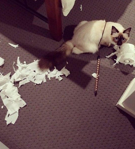 Я просто мимо проходил