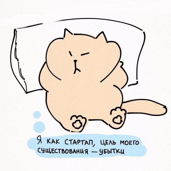 Типичные будни котов
