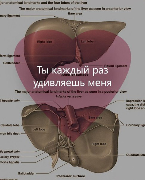 Необычные валентинки "Спасибо тебе"