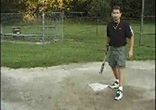Alternativnyy_beysbol