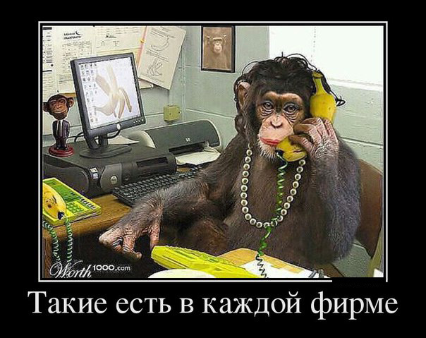 ТОП лучших демотиваторов