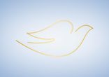 Истинная красота от Dove. Лина