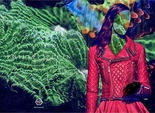 Philipp Plein рекламна кампанія