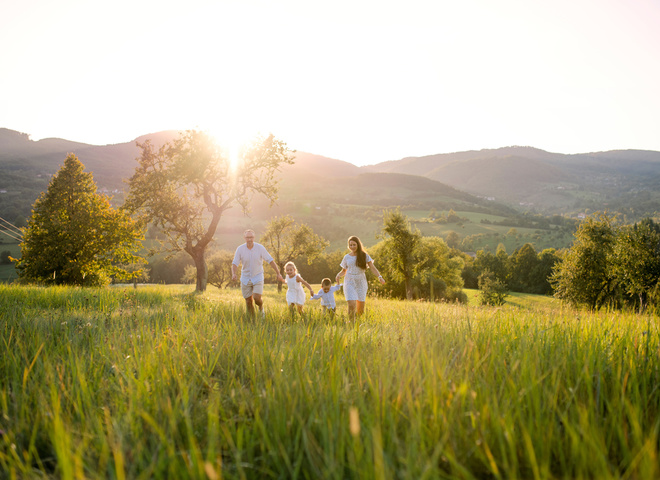 Какой праздник отмечают 8 июля