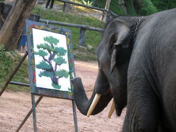 То неловкое чувство , когда слон рисует лучше тебя