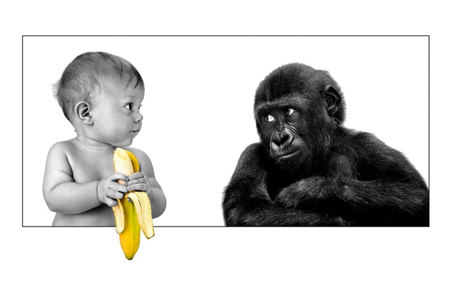 Малыш и обезьяна