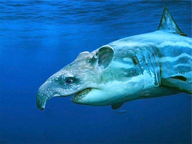 Создания, которых страшно было бы встретить